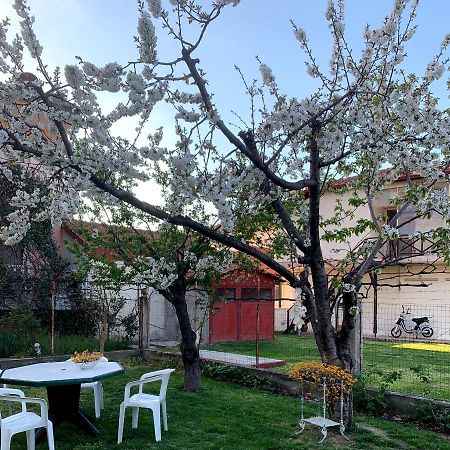 Villa Elena 5***** Vromerí Εξωτερικό φωτογραφία